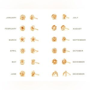 Set of 12 Flower of the Month Studs
